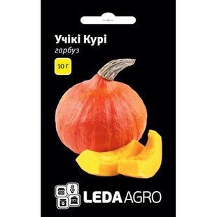 Насіння Гарбуз Учікі Курі Leda Agro 10 г 1576101979 фото