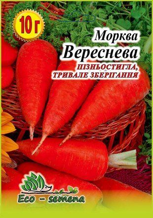 Насіння Морква Вереснева 10 г 681447892 фото