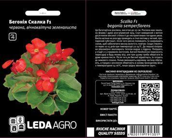 Бегонія Скалка F1 Leda Agro (Фасовка: 10 шт.) 1721154403 фото