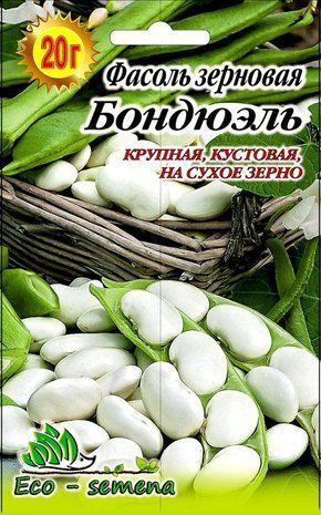 Насіння Квасоля на зерно Бондюель 20 г 894630741 фото