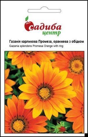 Газанія Промеза, оранжева з обідком, Садиба Центр 10 шт 1655191046 фото