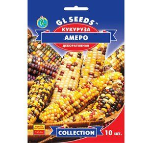 Насіння кукурудзи Амеро 10 шт., GL-Seeds 1565451626 фото
