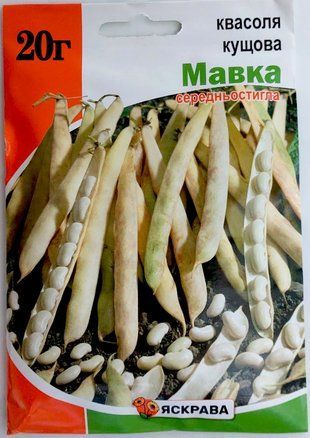 Фасоль зерновая Мавка Яскрава (30 г.) 1760762703 фото