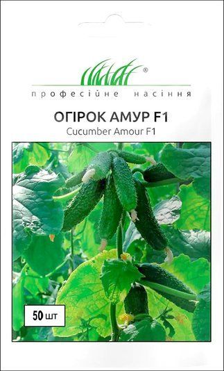 Огурец Амур F1 Bejo Zaden/Нидерланды 50 шт 1292411320 фото