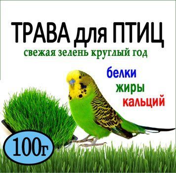 Насіння Трава для Пернатих Птиц Вітамінний коктейль 100 г 1319857785 фото