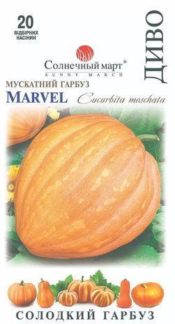 Семена Тыква сладкая Чудо Солнечный Март 20 шт 1668686252 фото