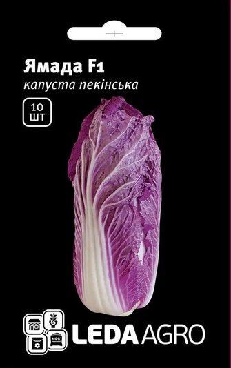 Капуста пекінська Ямада F1 червона (осінь) 10 шт 1366992638 фото