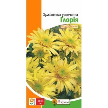 ХРИЗАНТЕМА