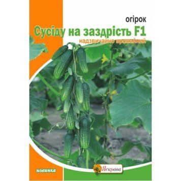 Семена Огурец Соседу на зависть F1 Яскрава 2,5 г. 1754754062 фото