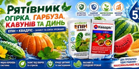 Line 8 (2x, s) рятівник огірків