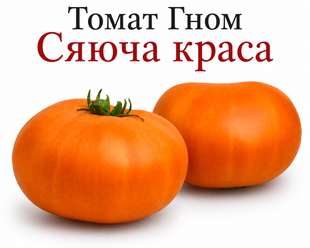 Томат Гном Сияющая красота (низкорослый) 10 шт 887619431 фото
