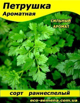 Насіння Петрушка листова Ароматне, 100 г 681448312 фото