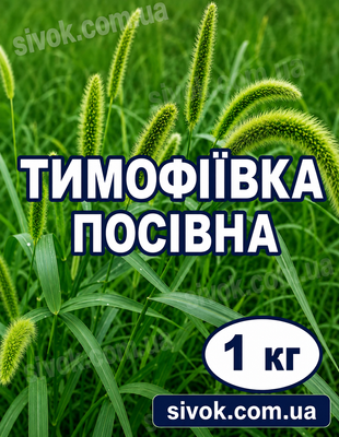Насіння Тимофіївка лугова 1 кг (на вагу) 681448421 фото