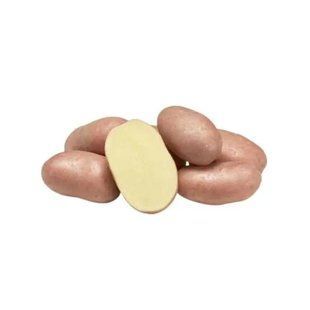 Насіннєва картопля Коразон (1 репродукція) Agrico 2,5 кг 2425433997 фото