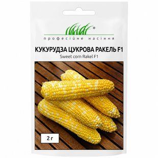 Кукурудза цукрова Ракель F1 (біколор) Clause/Франція 2 г 426341 фото