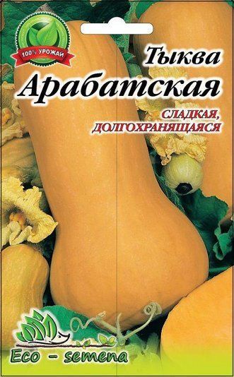 Гарбуз Арабатський 10 г 681448422 фото