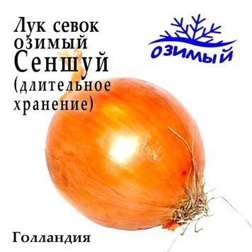 Лук севок озимый Сеншуй (Senshuy), Голландия 0,5 кг 2766577764 фото