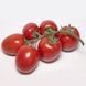 Томат Банти (KS 3819) F1 Kitano Seeds/Нидерланды 10 шт 46316 фото 1