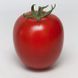 Томат Банти (KS 3819) F1 Kitano Seeds/Нидерланды 10 шт 46316 фото 4