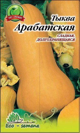 Насіння Гарбуз Арабатський (на кашу), 3 г 681448423 фото