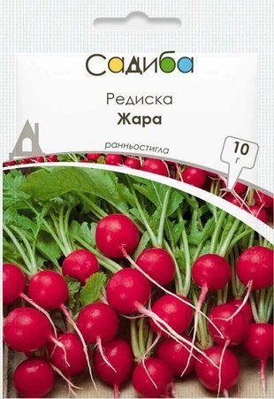 Редис Жара Satimex/Германия 10 г 1799916374 фото