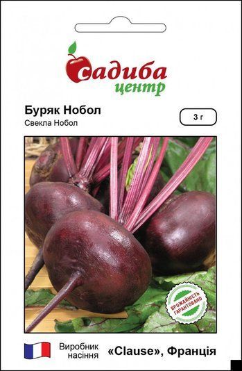 Буряк столовий Нобол, Садиба центр (3 г.) 1715103433 фото
