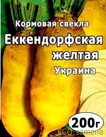 Насіння буряка кормове Екендорфське Жовте, Україна, 200 г 809887595 фото