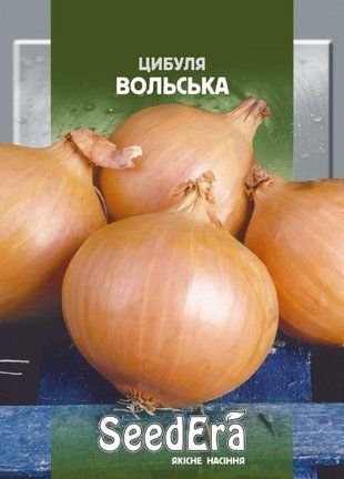 Цибуля Вольська на зберігання 10г. 1311935329 фото