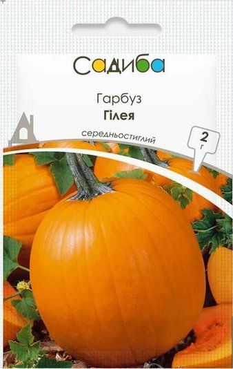 Гарбуз Гілея Садиба центр 10 г 1770743134 фото