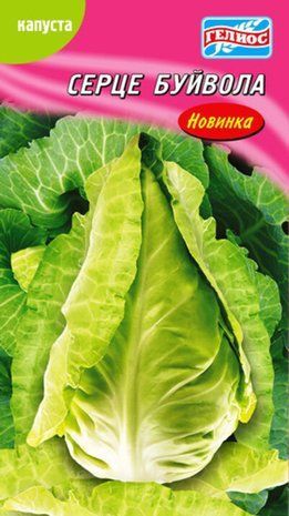 Капуста білокачанна Серце буйвола рання 100 шт 1301738005 фото
