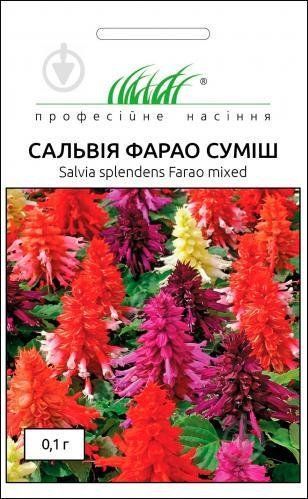 Насіння Квітів Сальвія Фарао суміш Профсемена 0.1 г 1291915896 фото