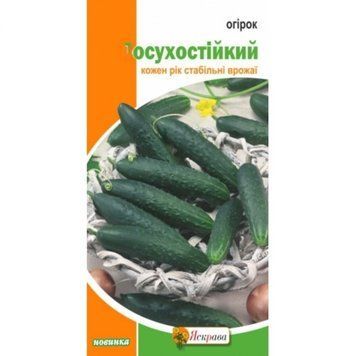 Семена Огурец Засухоустойчивый, Яскрава 1 г 1755304527 фото