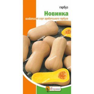 Гарбуз Новинка Яскрава 2 г 1795555462 фото