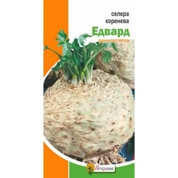 Насіння Селера коренева Едвард Яскрава 0,2 г 2071091014 фото