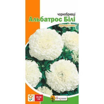 Семена Бархатцы Альбатрос Яскрава 7 шт 2081090308 фото