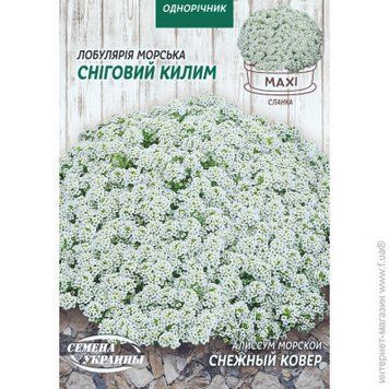 Насіння Квіти Лобулярія (Алісум) Морська Снігова Ковер Насіння України 5 г 1436436051 фото