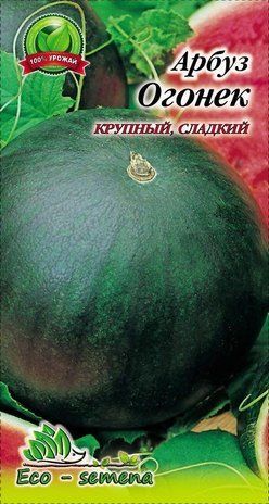 Арбуз Огонек 3 г 906621051 фото