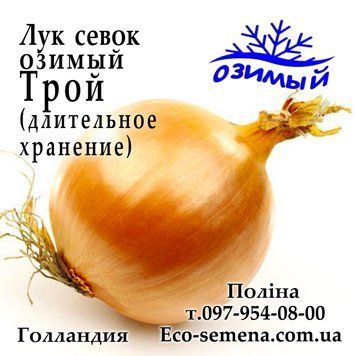 Лук севок озимый Трой F1 (Troy) Голландия 0,5 кг 2766730713 фото