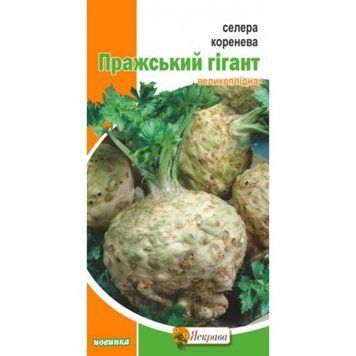 Насіння Селера коренева Празький гігант Яскрава 0,2 г 2071104363 фото
