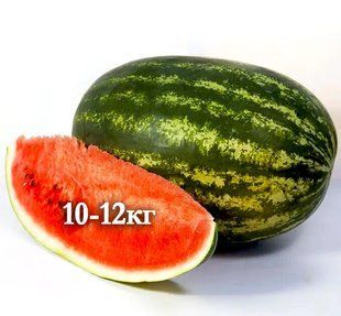 Арбуз Балу F1 (KS 165) Kitano Seeds/Япония 10 шт (zip-paket) 906621053 фото