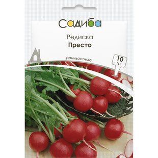 Редис Престо Садиба центр 10 г. 1713346968 фото
