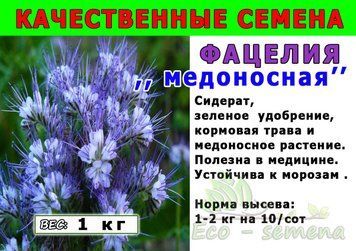 Насіння Фацелія, медонос, мішок 25 кг 1456448121 фото