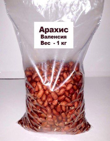 Семена Арахис посадочный сорт Валенсия, 1 кг 864041143 фото