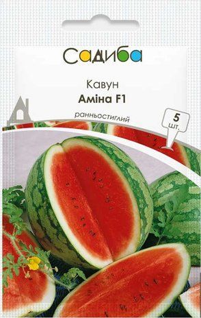 Арбуз Амина F1 (12-16 кг) Clause/Франция 5 шт 378311 фото