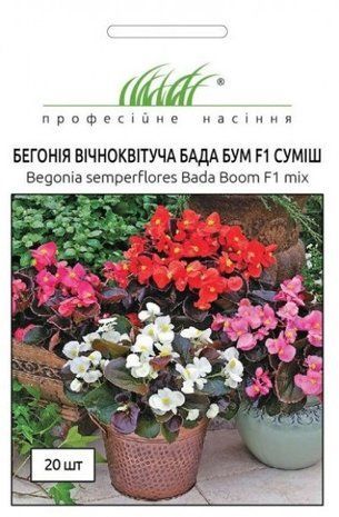 Насіння квітів Бегонія Бада Бум Профсемена 20 се 1300008918 фото