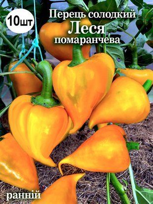 Перець солодкий Леся помаранчева з носиком 10 шт (zip-paket) 1438595079 фото
