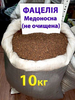 Насіння Фацелія (не очищене), медонос, сидерат, мішок 10 кг 1456450764 фото