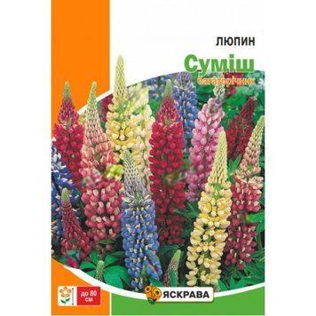 Семена Люпин Многолетний смесь Яскрава 0,5 г 2081111452 фото