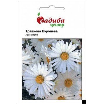 Хризантема Травнева Королева, 0,1 г Садиба Центр 1522513464 фото