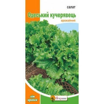 Насіння Салат Одеський кучерявець Яскрава 1 г 2071395196 фото